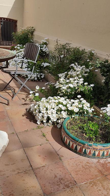 A garden outside Casa MO