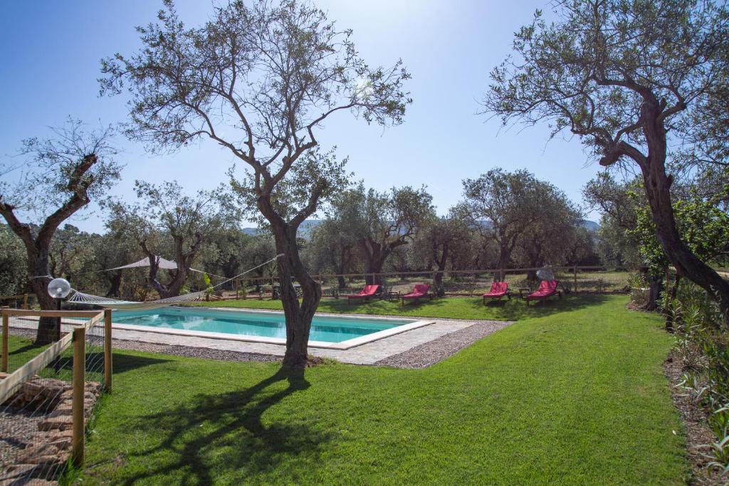 Het zwembad bij of vlak bij Oliveto Bed and Breakfast