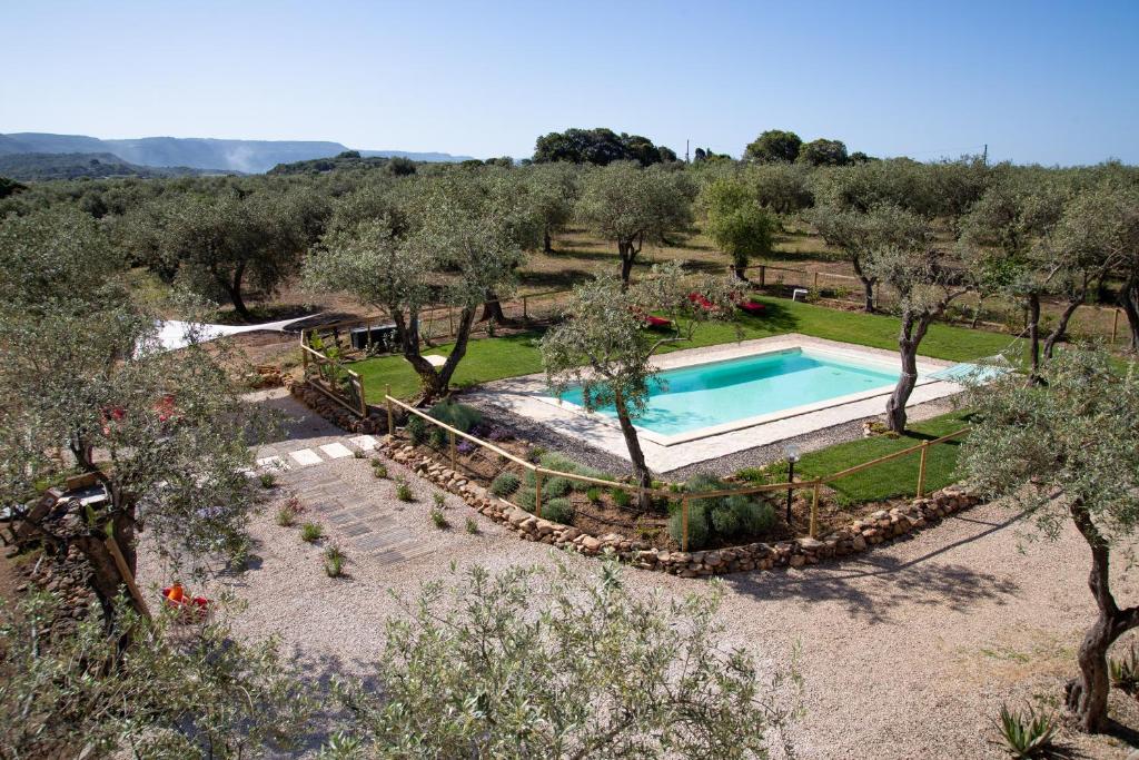 Het zwembad bij of vlak bij Oliveto Bed and Breakfast