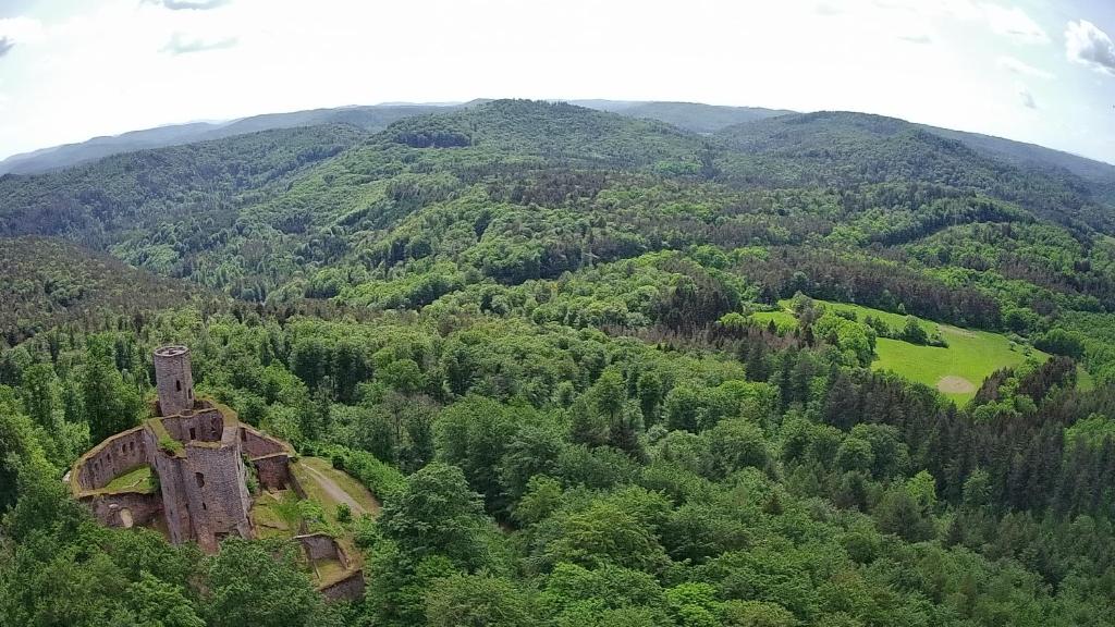 un antiguo edificio en medio de un bosque en CASA Palatina en Merzalben