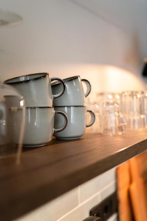 A kitchen or kitchenette at Familienapartment Reifnitz