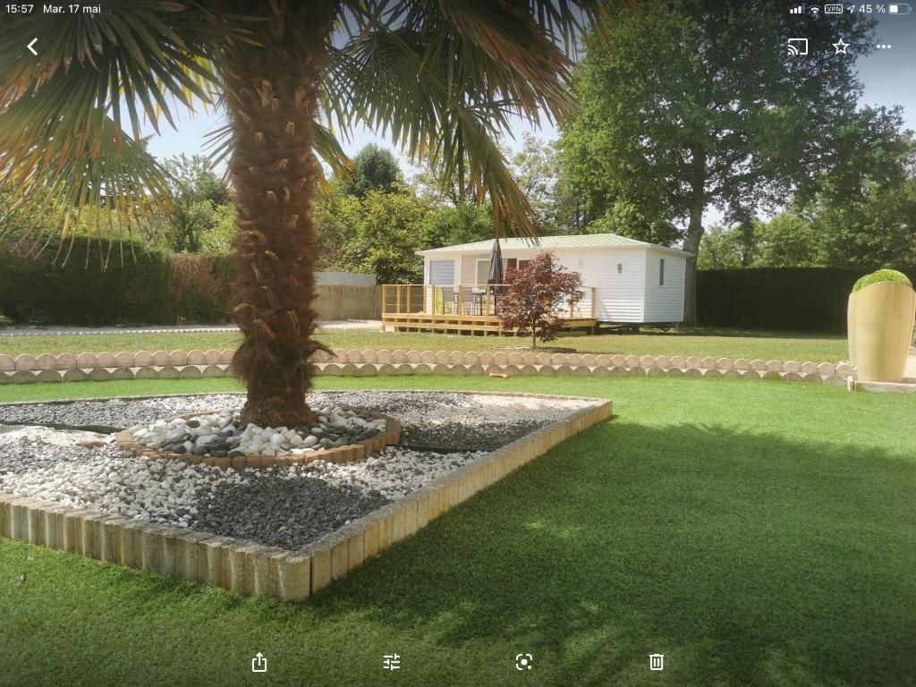 a palm tree in the middle of a yard at Gîte Panda house in Villefranche-Sur-Cher