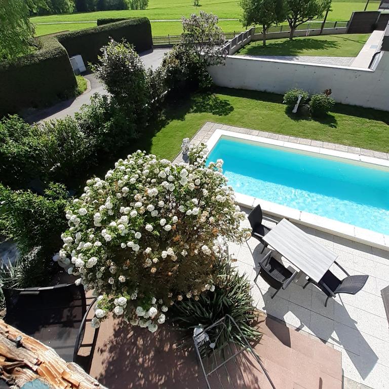una vista sul tetto di una piscina con fiori accanto di Reitbergs Nest a Eugendorf