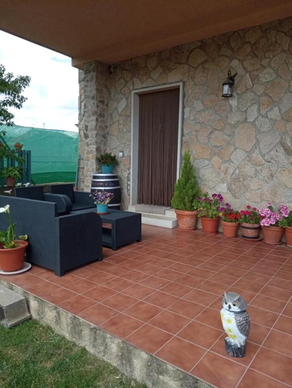 Un chat est assis sur un patio dans l'établissement Casa Rural Mirador del Valle, à Cepeda