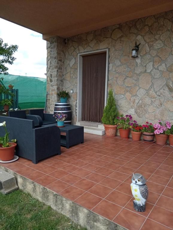 CepedaにあるCasa Rural Mirador del Valleの猫がパティオに座っている