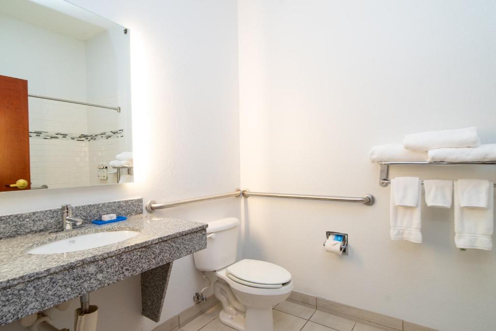 Holiday Inn Express Hotel & Suites Bedford by IHG - Standard King Room - Communications Accessible