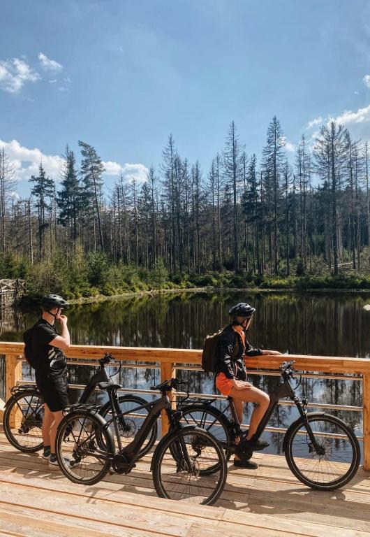 Jazda na bicykli v okolí ubytovania FORREST
