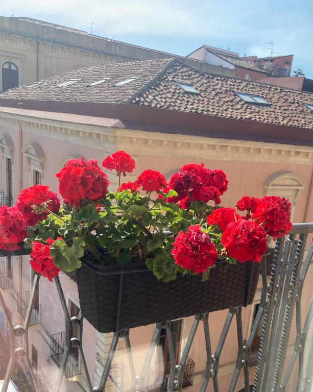 B&B Oriental Palace - 17