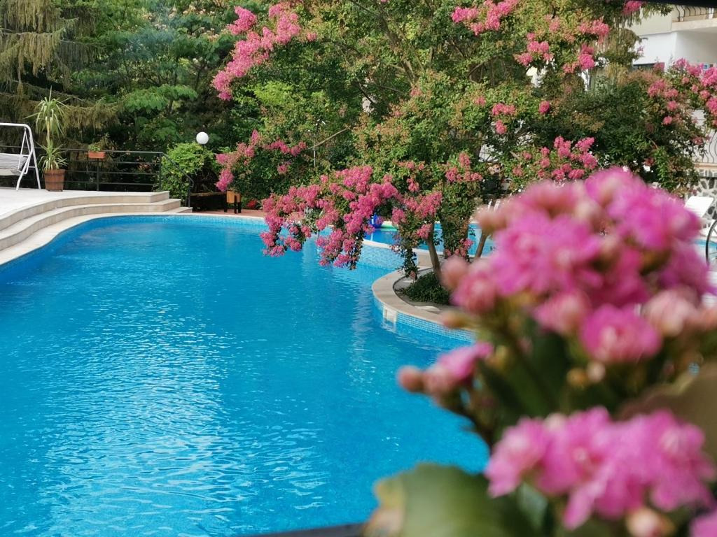 una piscina con flores rosas delante en Park Hotel Briz - All Inclusive & Free Parking en Golden Sands