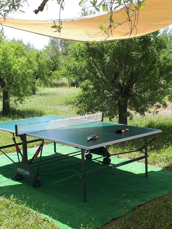 Stolný tenis v ubytovaní El Establo alebo v jeho okolí