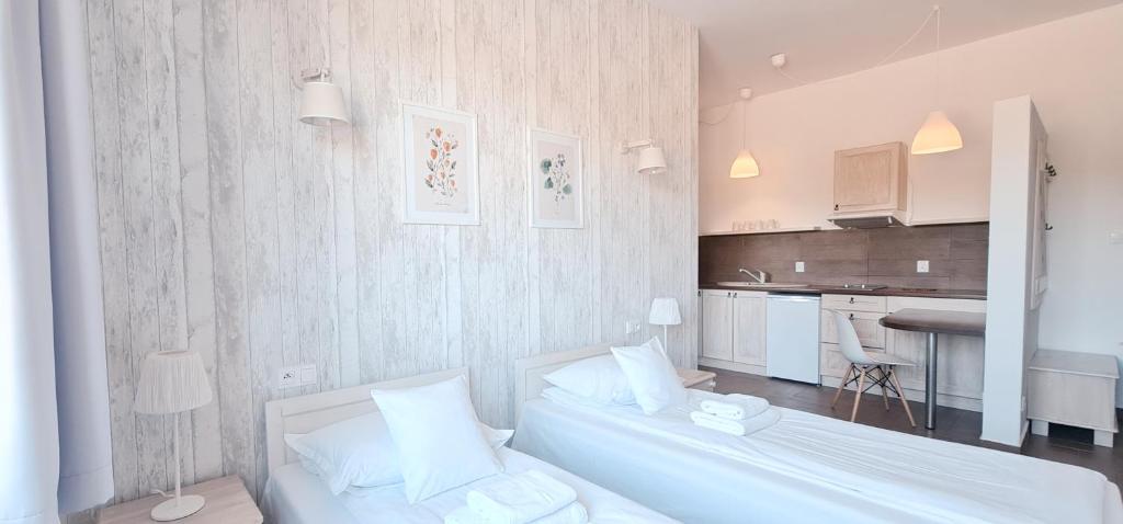 Apartamenty Sasinówka - Suite Con Due Camere Da Letto