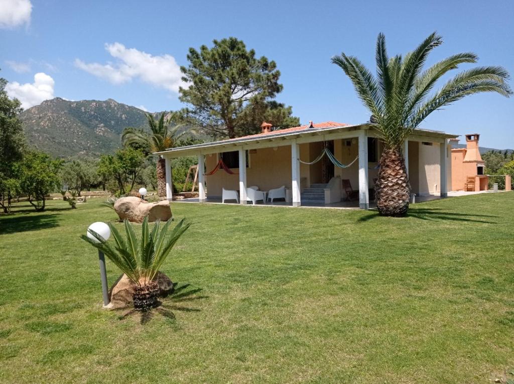 a house with a palm tree in front of it at Villa Marina in Villasimius