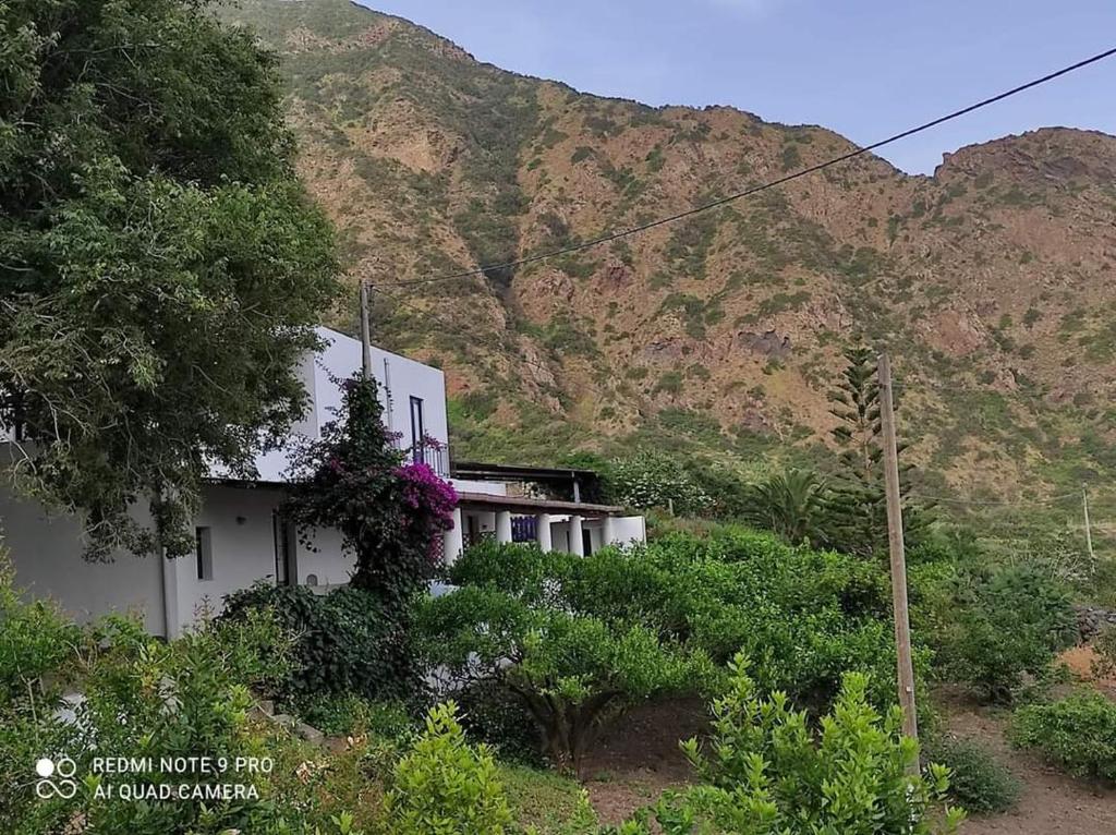 een huis met bloemen aan de zijkant van een berg bij Casa vacanze Lino e Iolanda in Pollara