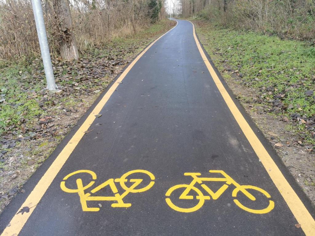 Jízda na kole v ubytování Tavi Panzió nebo okolí