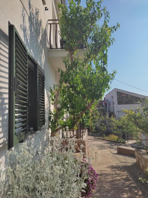 Zahrada ubytování Guest House Nikola