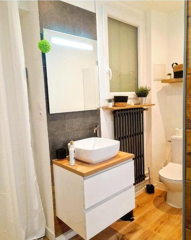 a bathroom with a sink and a toilet at Charming T2 Equipped 1min Walk To Beaches in Toulon