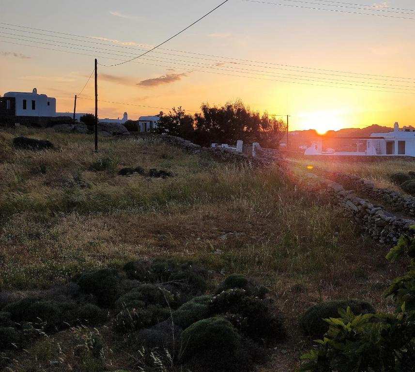 a sunset in a field with the sun setting at Artemis Studio Pyrgi in Mýkonos City