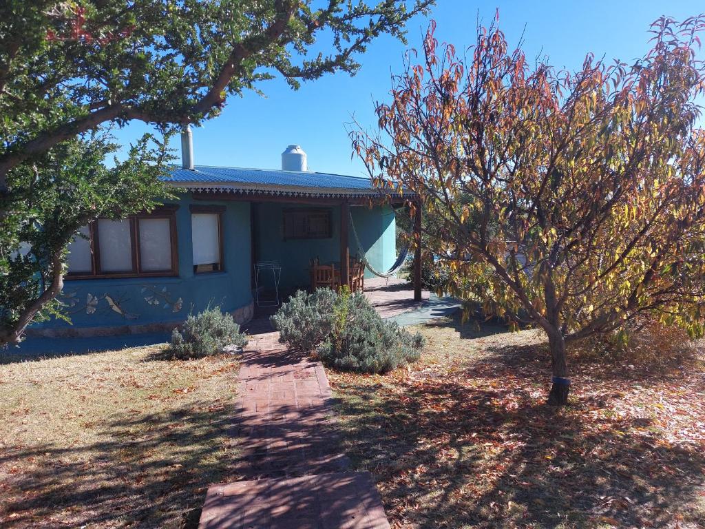 a blue house with trees in front of it at misky wayra in Capilla del Monte