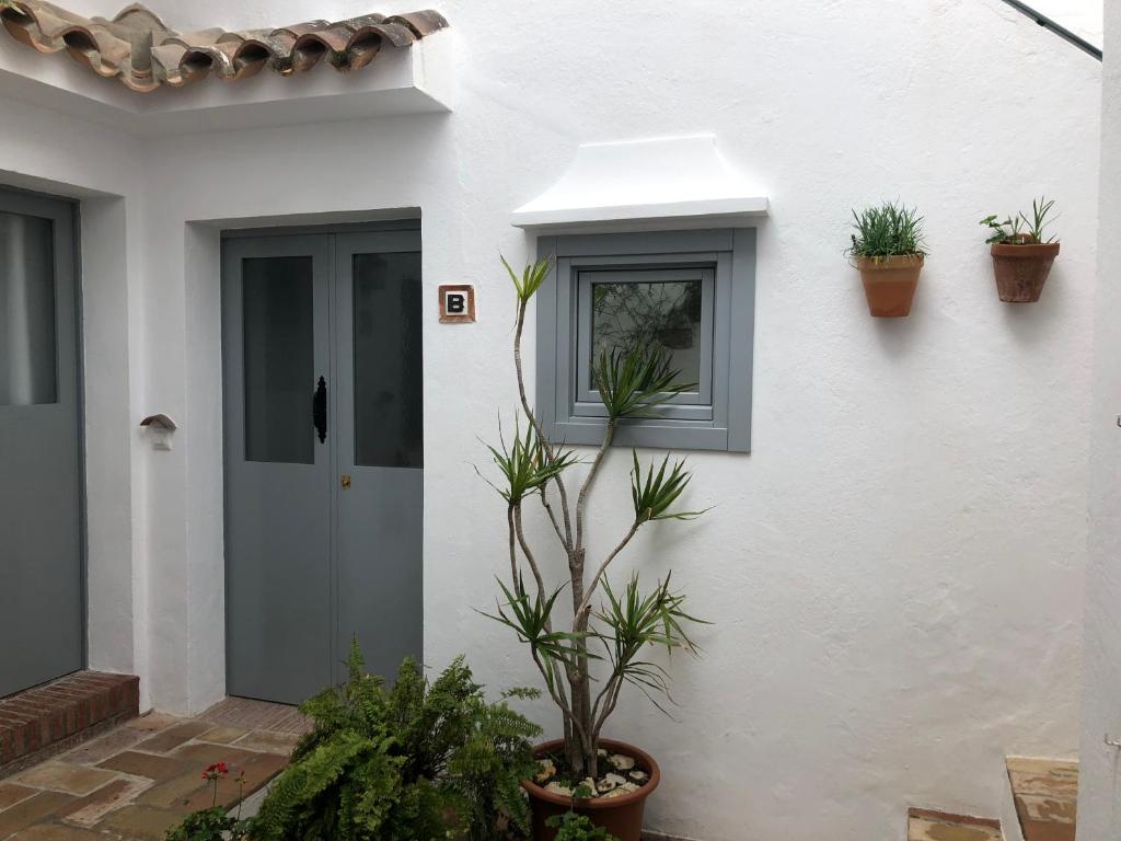 a white house with plants on the side of it at Apartamentos Casa la Costanilla in Vejer de la Frontera