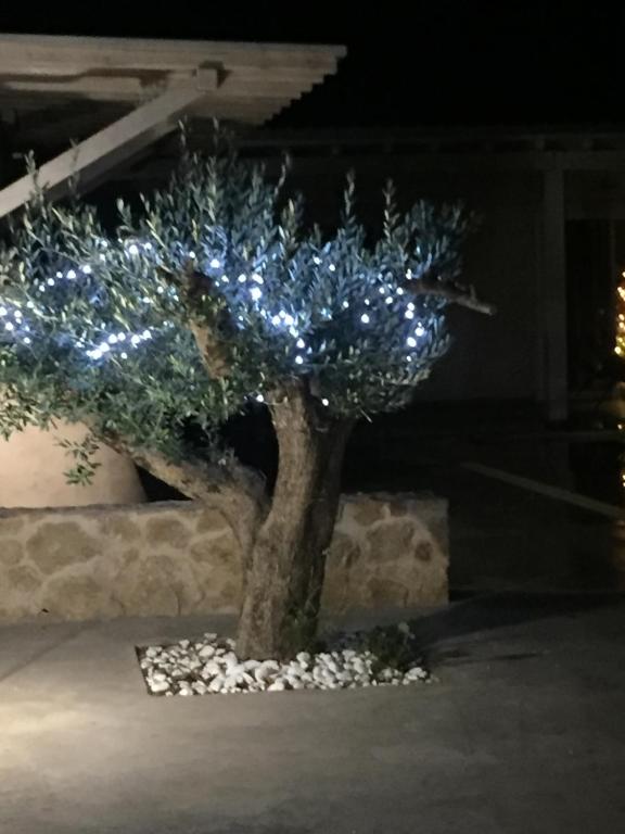 Fotografie z fotogalerie ubytování olive tree house v destinaci Anavissos