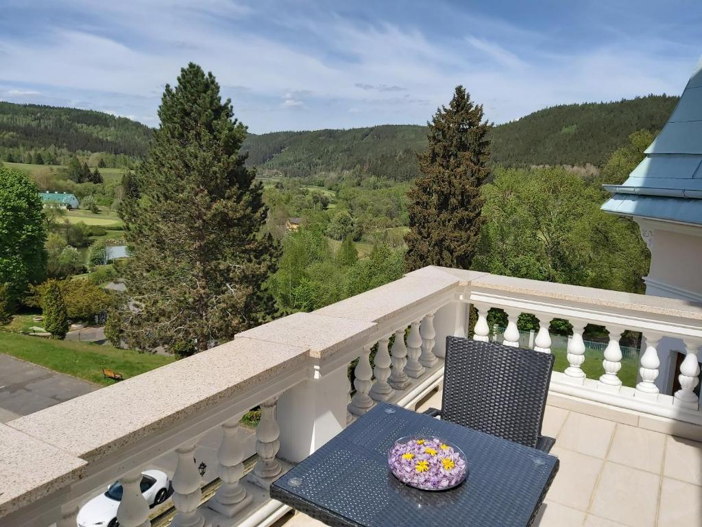 Hotel Château Cihelny - Resim 36