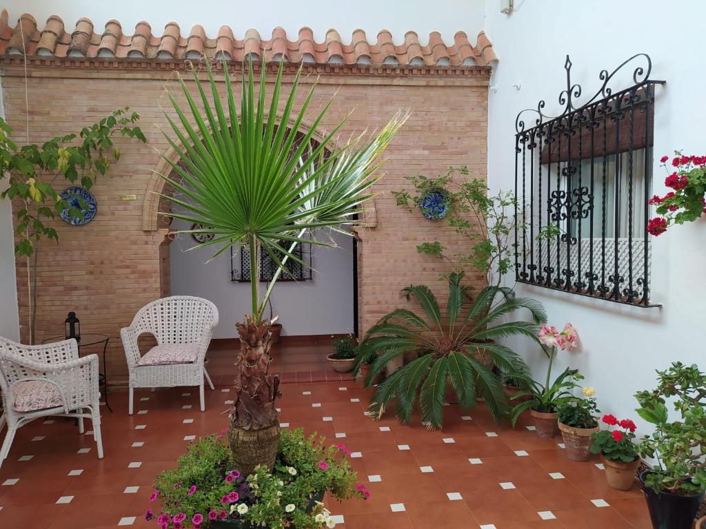 een binnenplaats met stoelen, palmbomen en planten bij Hostal Andalucía in Chipiona