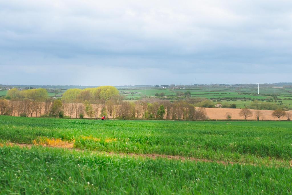 a field of green grass with a person in the distance at Drift View Shepherds Hut in Melton Mowbray