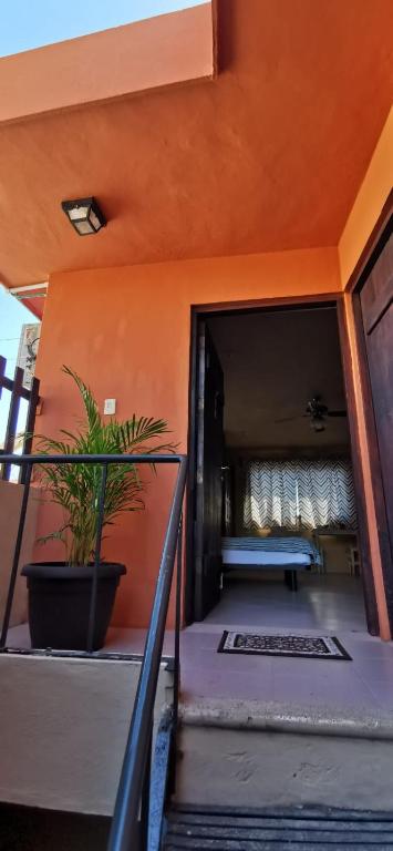 Balkón nebo terasa v ubytování Luhme Tulum Hostel - Free Bike & Free Cenote Access
