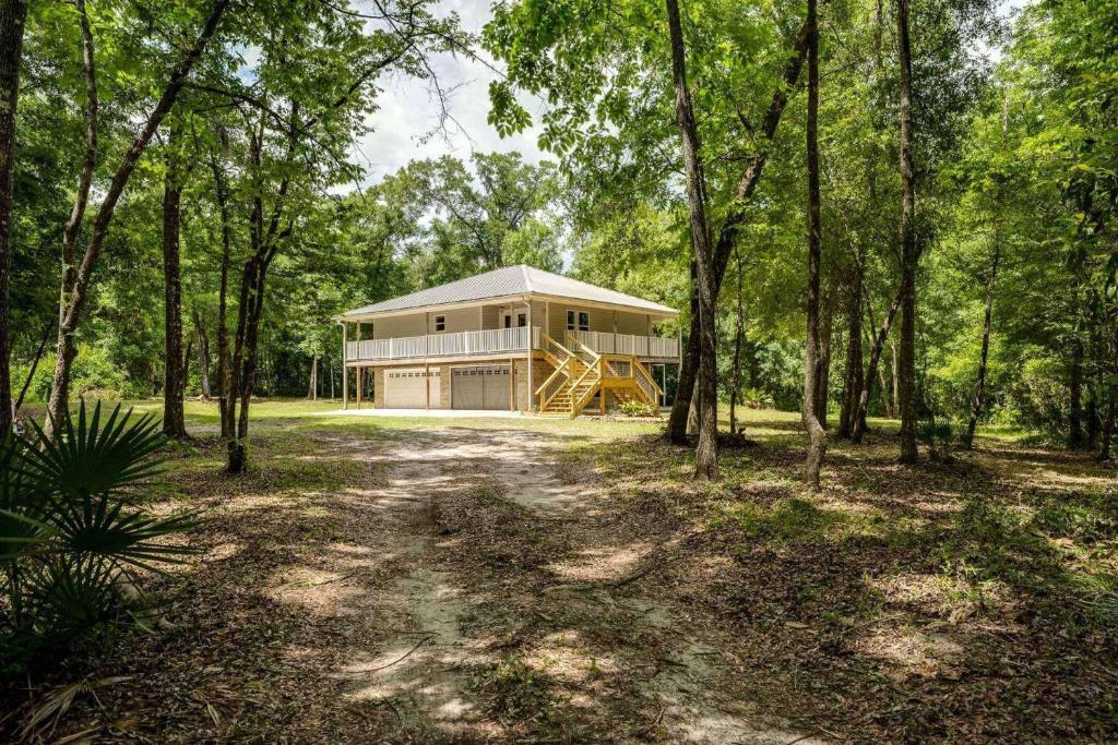 a house in the middle of a forest at The Tree House in Middleburg