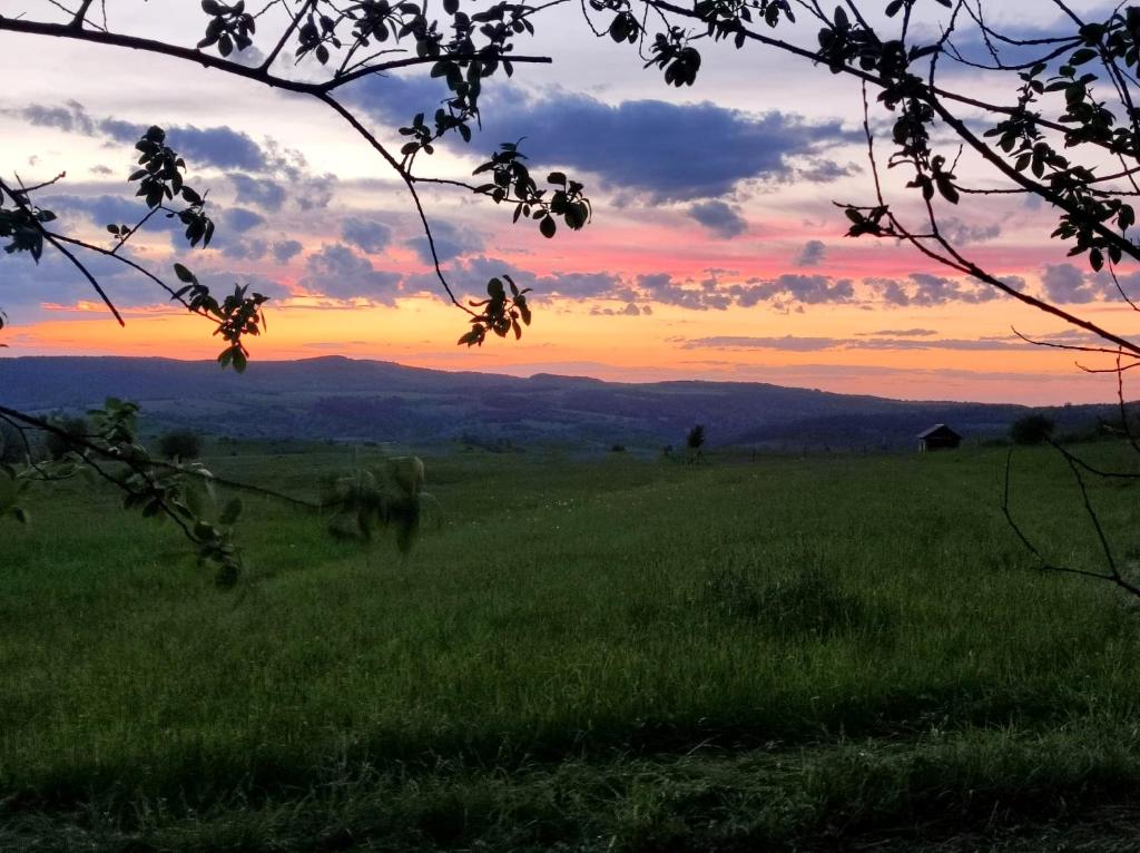 Príroda v okolí horskej chaty