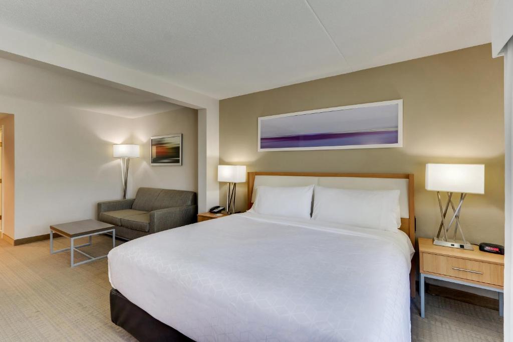 Holiday Inn Franklin - Cool Springs by IHG - King Room With Mobility Accessible Tub