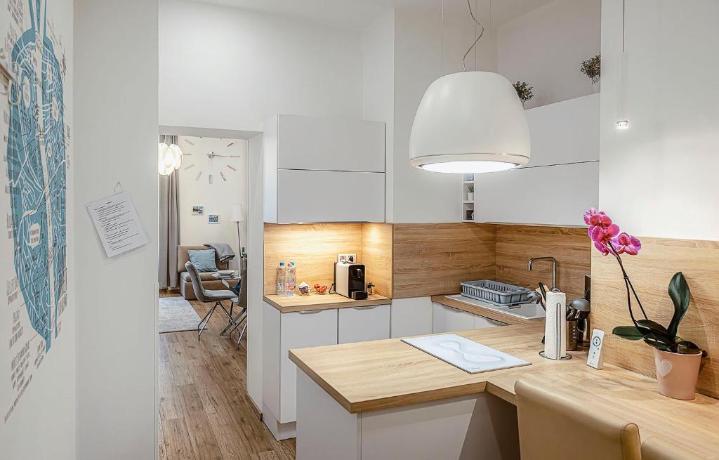 Kuchyňa alebo kuchynka v ubytovaní Bellini Apartment