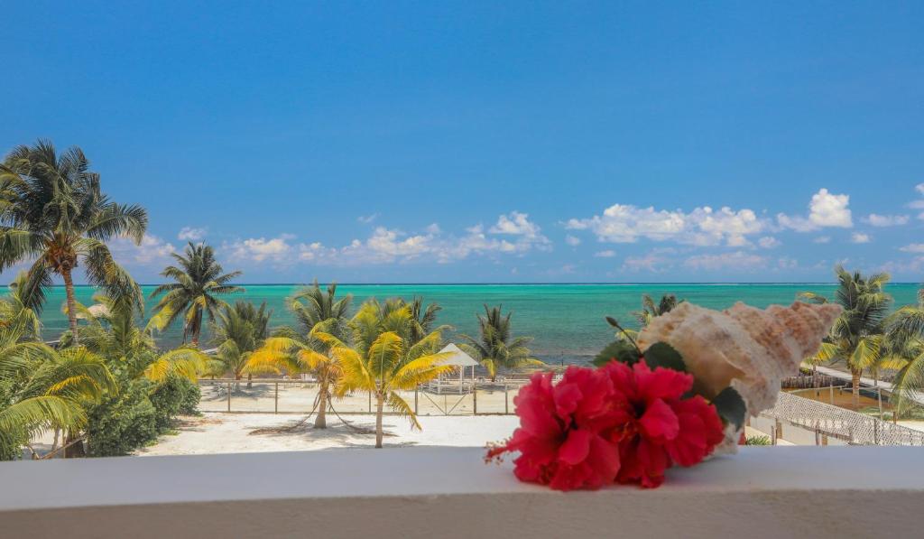Blick auf den Strand vom Balkon eines Resorts in der Unterkunft Treetops Hotel in Caye Caulker