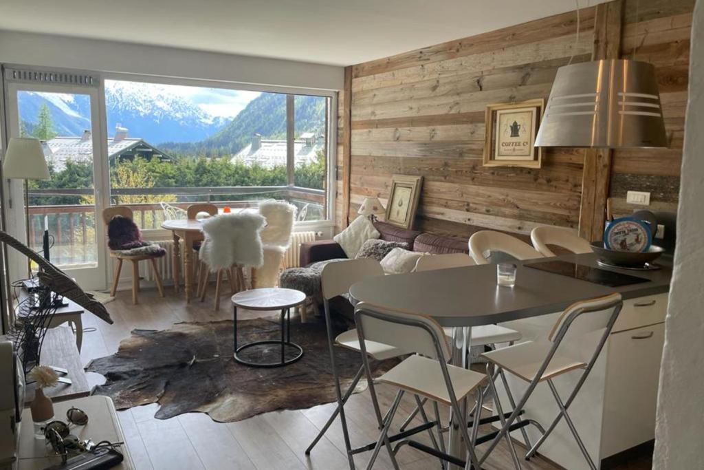 Charming apt with swimming pool in Argentiere