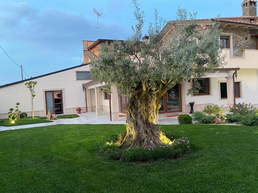 a tree in the grass in front of a house at Balneum Rooms & SPA in Mirabella Eclano