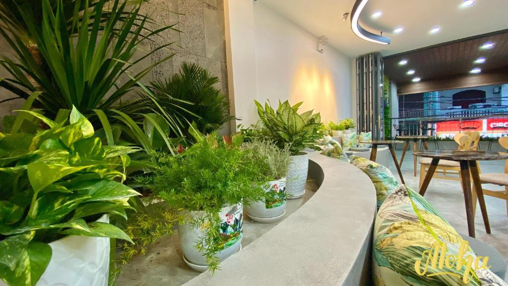 Posezení v ubytování Aloha Hotel Vung Tau