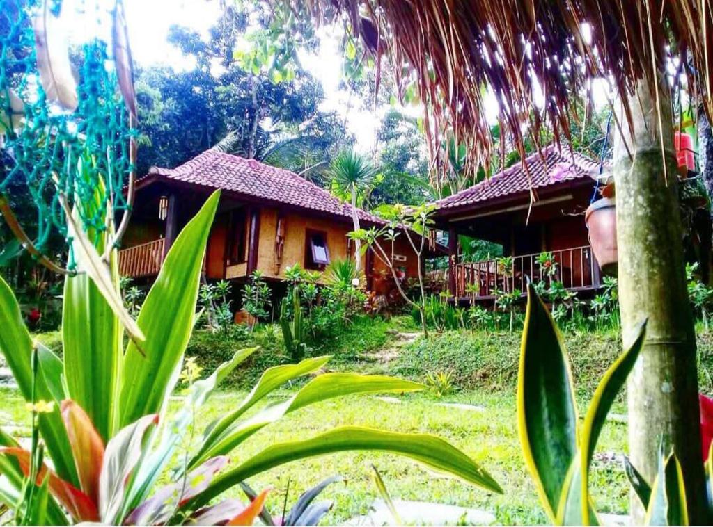 Zahrada ubytování Sky garden Lombok