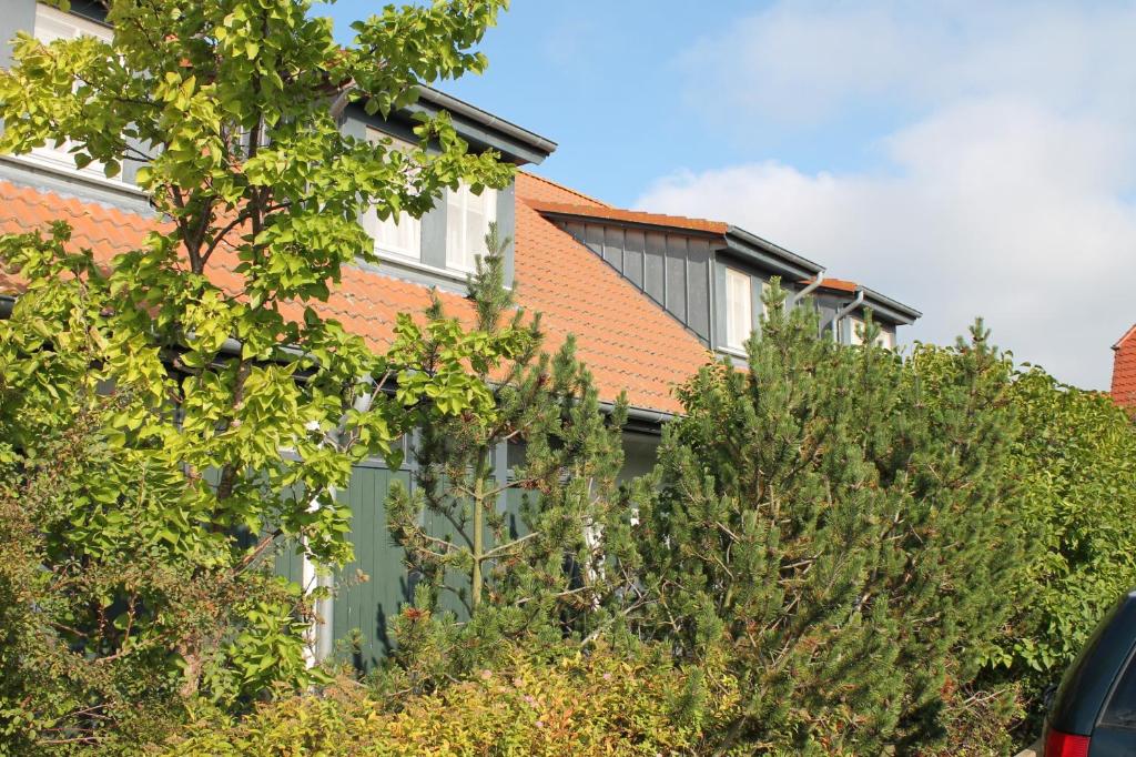 H.W.S. Hotel Der Wilde Schwan - Suite Dúplex