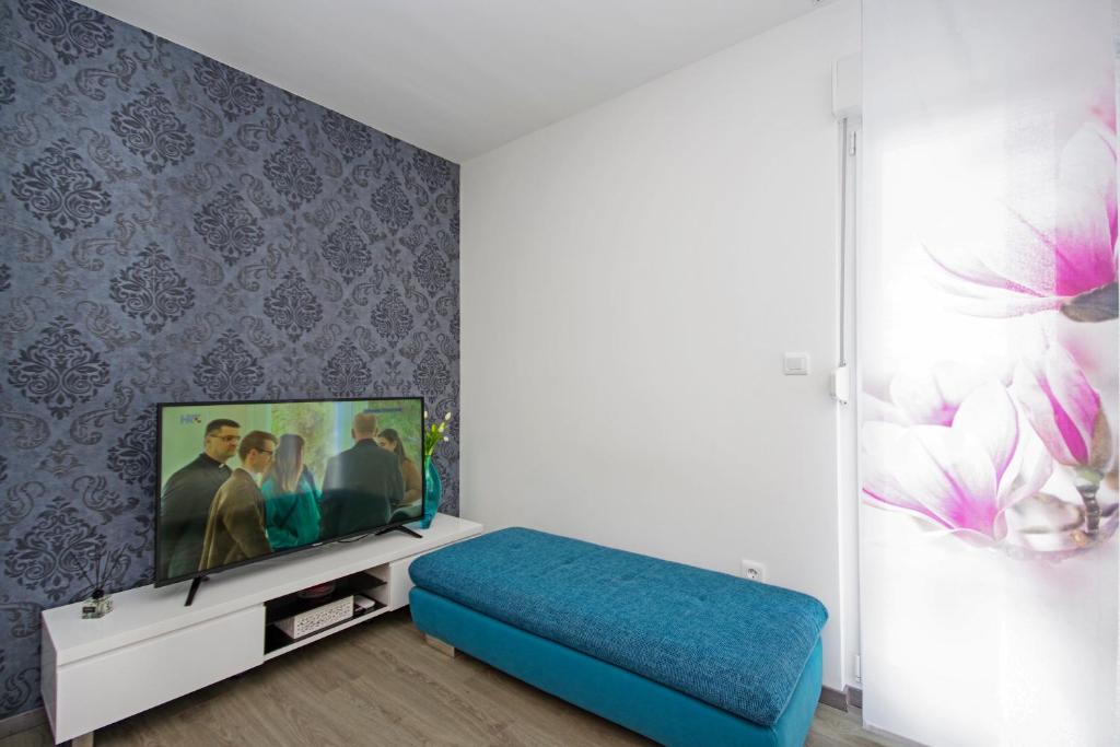 Televízia a/alebo spoločenská miestnosť v ubytovaní Sabbioncello