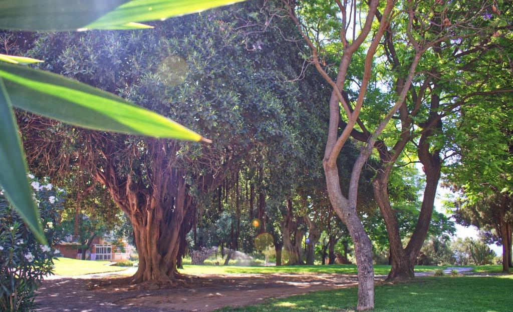 Ogród w obiekcie Parque de la Paloma Area - Benalmadena Costa