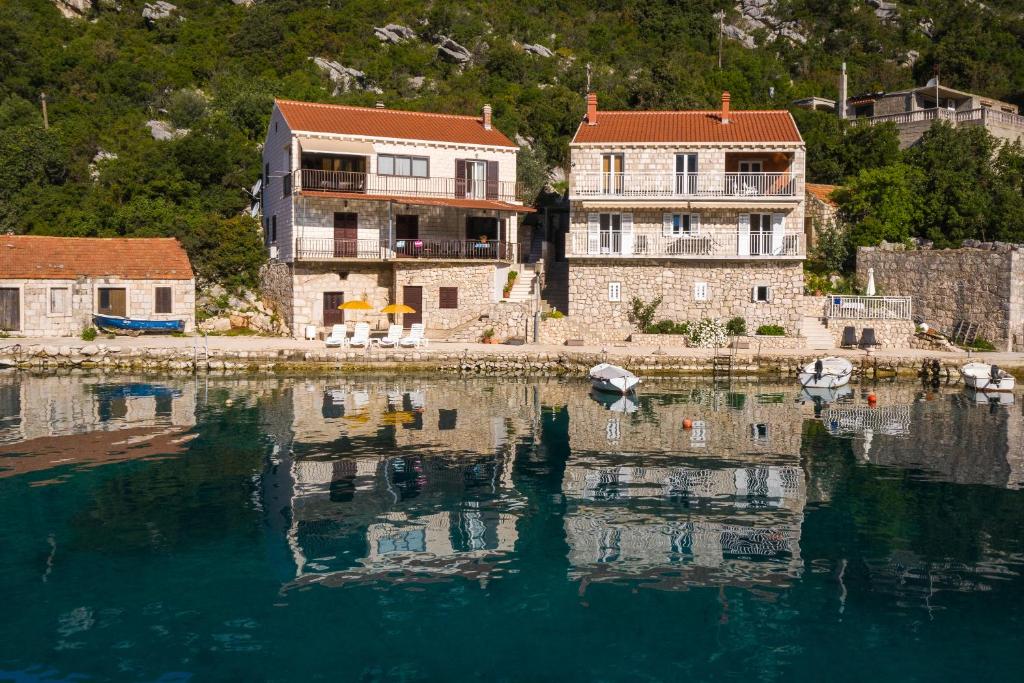 Příroda nedaleko apartmánu
