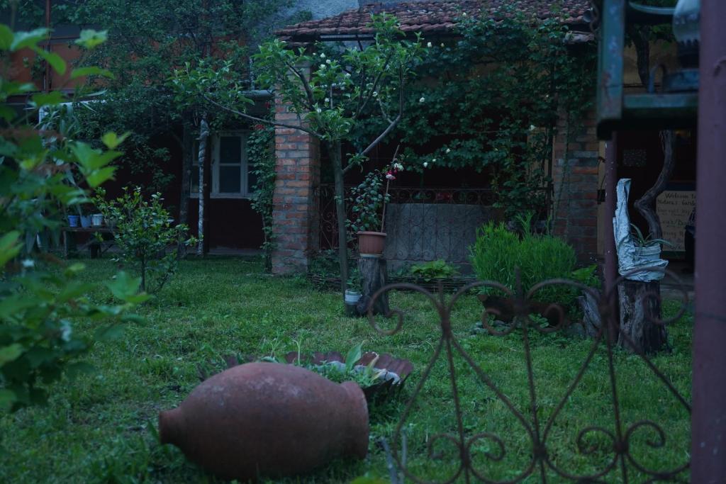 Zahrada ubytování Nodara's garden