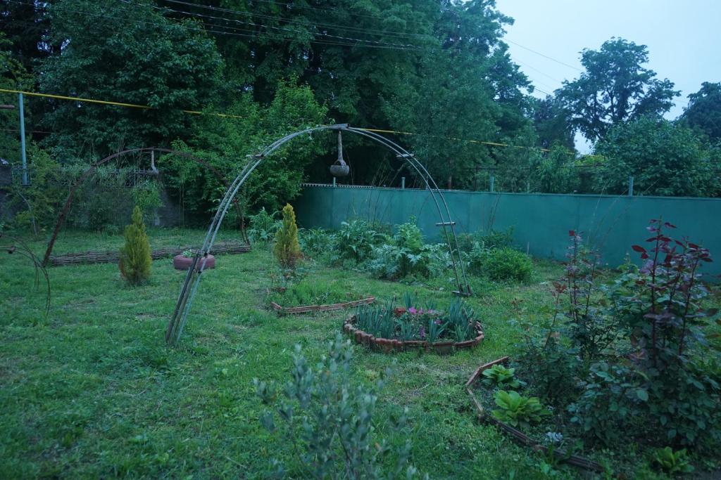 Zahrada ubytování Nodara's garden