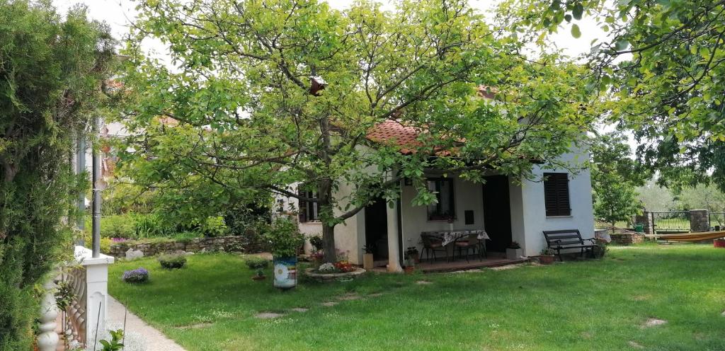 a white house with a tree in the yard at Country Guest House in Smoljanci