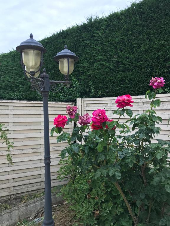 Vonkajšia záhrada v ubytovaní Gîte des Gâtines 3 étoiles