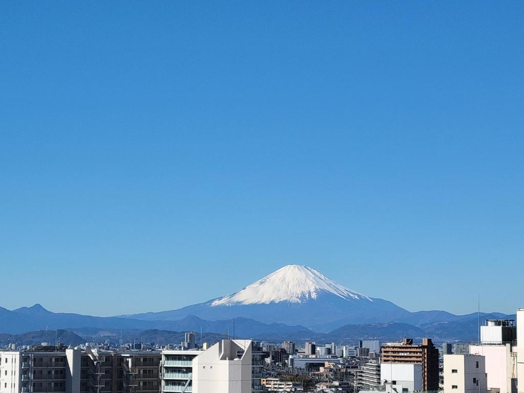 のホテル Fujisawa
