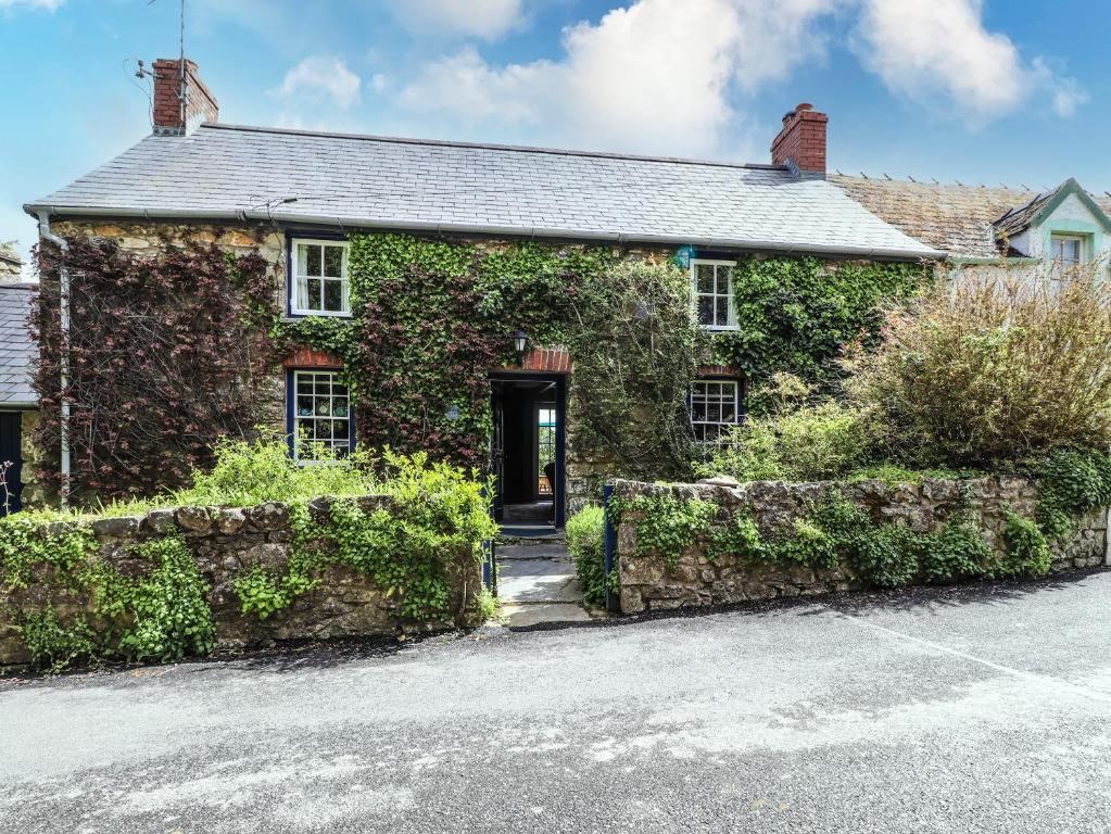 ein mit Efeu bedecktes Haus mit einer Auffahrt in der Unterkunft Tyddyn Bach in Newport