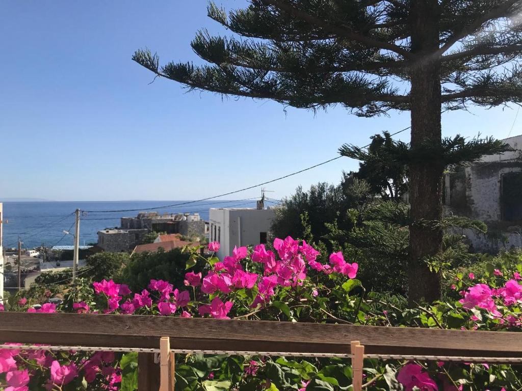 a bunch of pink flowers in front of a tree at Garden House in Hora Sfakion