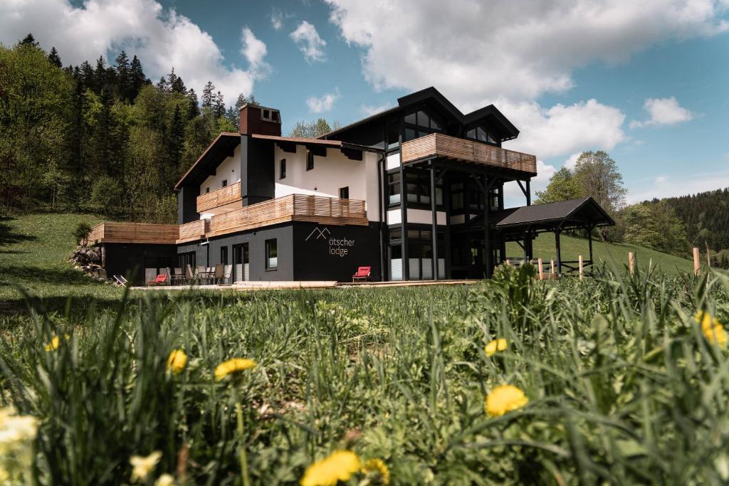 ein Haus auf einem Hügel mit einem Blumenfeld in der Unterkunft MountainLodge am Ötscher in Lackenhof