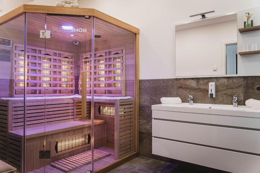 un bagno con doccia e lavandino di MountainLodge am Ötscher a Lackenhof